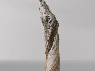 Tree dead 03 Scan  Free low-poly 3D model