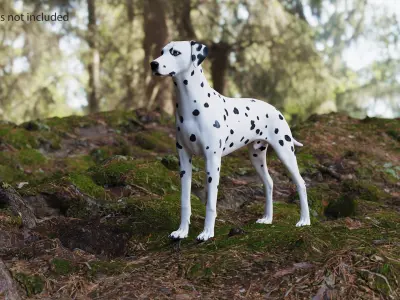  Dalmatian Dog Animated Rigged for Cinema 4D 