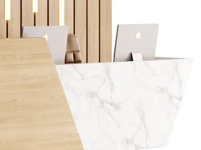 Contemporary Reception 19 3D model