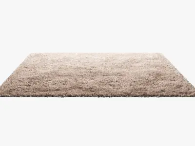 Carpets with long pile 3D model