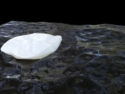 Experiment with Ice and Water Free 3D model