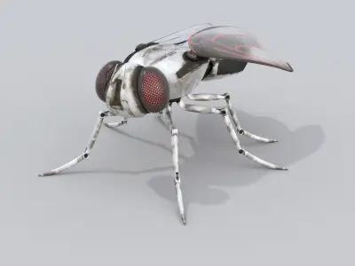 Robot Fly 3D model