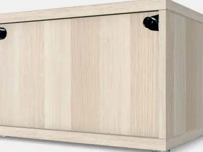 BESTA Shelf unit with door 11 Low-poly 3D model