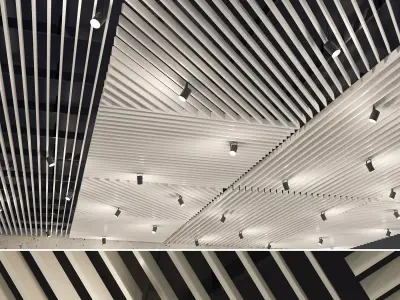 Suspended ceiling rack and pinion 20 Low-poly 3D model