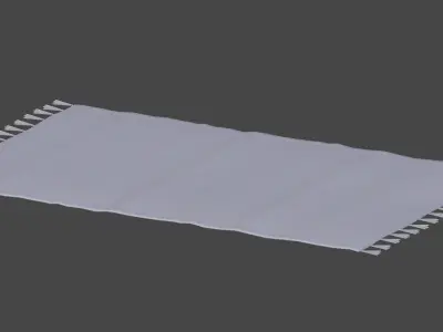 Rug with Fringe 3D model