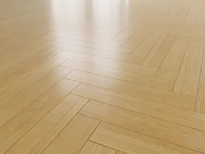 European ash 3D model