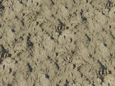 Soft Mud With Footprints PBR Texture  Texture