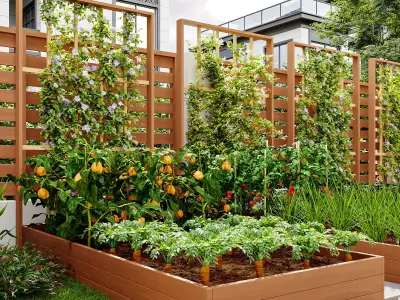 courtyard interior scenes  3D model