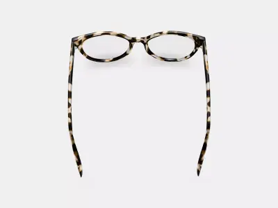 Haley Eyeglasses in Opal Tortoise 3D model