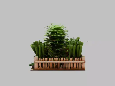 carrot garden Low-poly 3D model