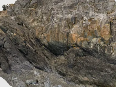 The Wall rock 3D model