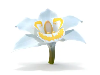  3D Flowers Collection – High-Quality 4K PBR Asset Pack | Orchids, Roses, Nymphaea &amp;amp; Lilies 