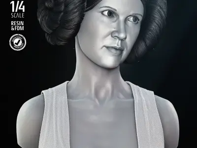 STAR WARS Leia New Hope Portrait Bust 3D print model