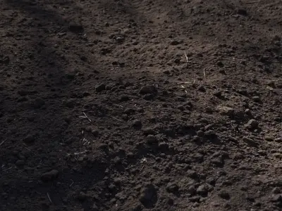 Ground square piece of dirt 3D model