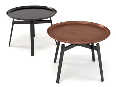 Husk Table 3D model