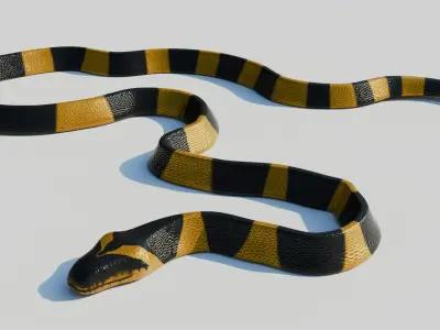 Rigged Banded Krait - Low Poly - Game Ready - PBR