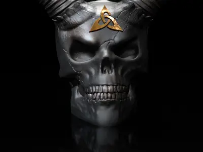 2-Pack- 30 Percent- Skull Celtic  Skull Rose   3D print model