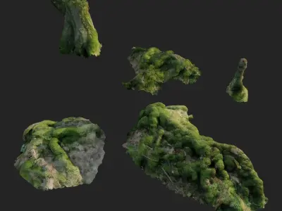 3d scanned nature forest roots 005  3D model