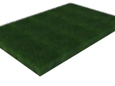 Grass With Growing Animation 3D model