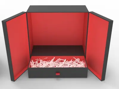 Crinkle Paper Vertical Double Doors Box with Drawer 3D model