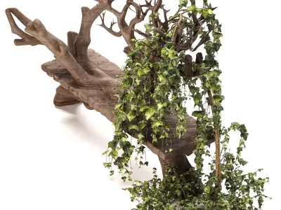 Wooden bench with English ivy 3D model