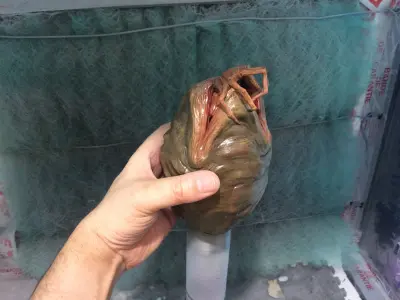 alien facehugger egg - alien-  stl print file 3D print model