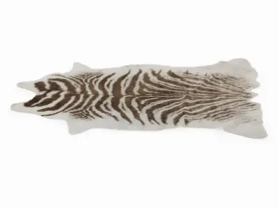 Zebra Gray Rug 3D model