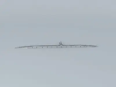 Road Bridge Port of Brisbane Free 3D model