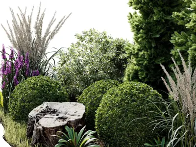 Outdoor Plant 34 3D model