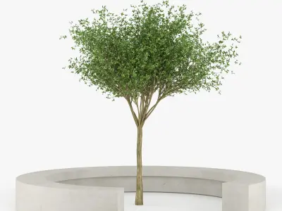 COMU BY VORA ARQUITECTURA Tree Bench 3D model