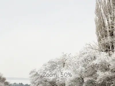 Panorama of the park with a lake and snow-covered trees - 30k 3D model