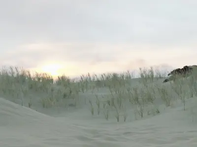 Beach Scene - Sand Dunes 3D model