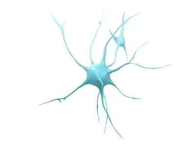 Neurons v1 001 Low-poly 3D model