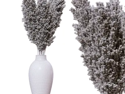 Dried pampas in pot 3D model