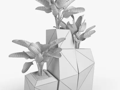 Concrete Plant Banana Palm 3D model