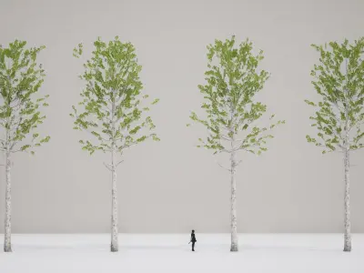 Korean Street Plant - 5 Korean Aspen Conifer Tree Low-poly 3D model