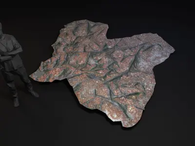 Beech forest ground - 1 of 6 - scan PBR Game ready Low-poly 3D model