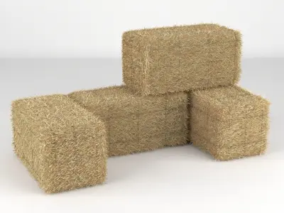 Hay Bale 3D model