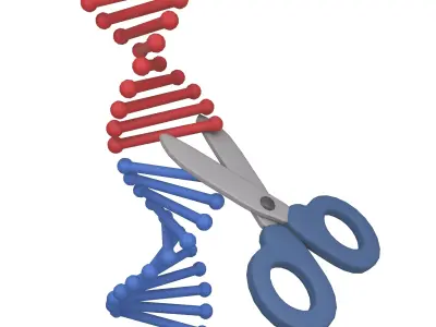 Genome Editing Icon v1 001 Low-poly 3D model