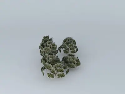 Trees street Andes Free 3D model