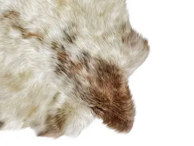 Sheepskin skin rug 3D model