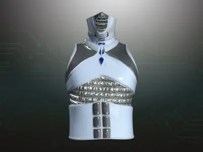 Cyborg Warzone - Space Warrior Shirt D Low-poly 3D model