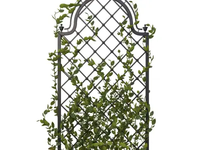 Pergola with flowers 3D model