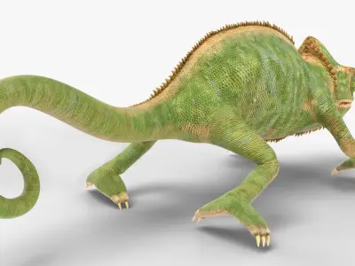  Chamelion Animated Rigged for Blender 