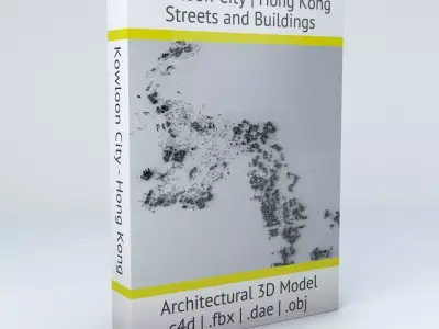 Kowloon City District of Hong Kong Streets and Buildings 3D model