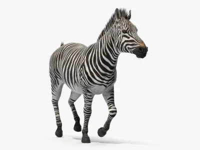  African Animals Collection 12 