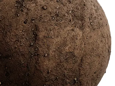 Gravel Seamless Texture 2K - EXR 5 - JPG 5 Texture Texture