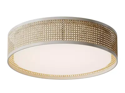 Lyla Ceiling Flush Light 3D model