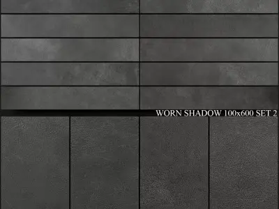 Ariana Ceramica Worn Shadow 100x600 Set 2 3D model