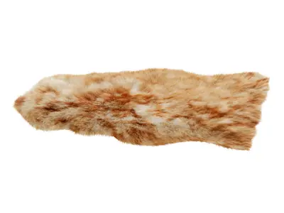 Animal skin 01 3D model